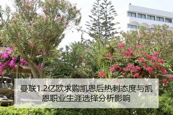 man-lian-yi-ou-qiu-gou-kai-en-hou-re-ci-tai-du-yu-kai-en-zhi-ye-sheng-ya-xuan-ze-fen-xi-ying-xiang-2-672.jpg